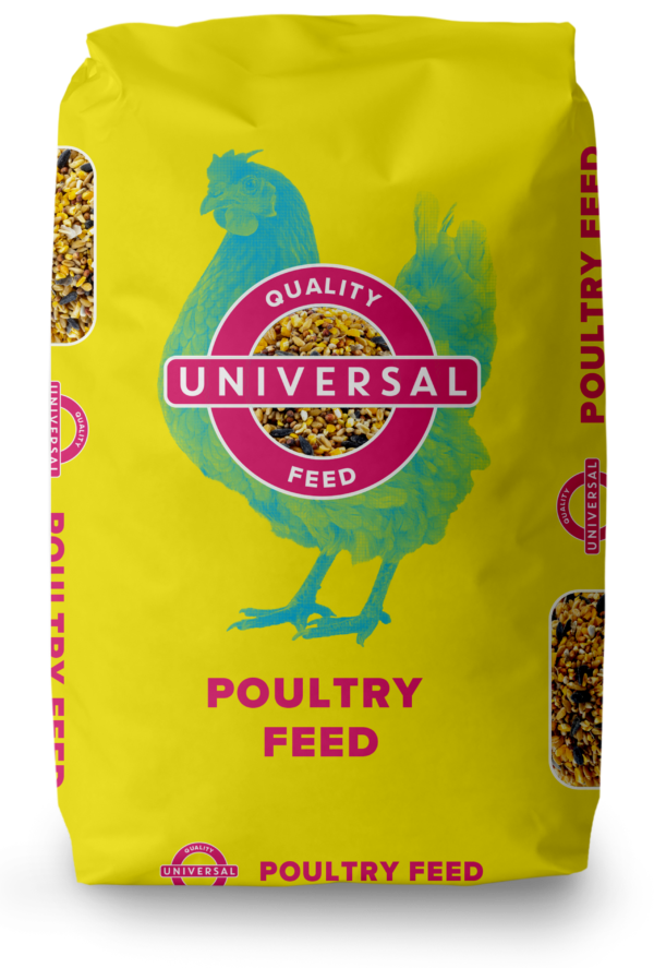 Poultry Layer Pellet